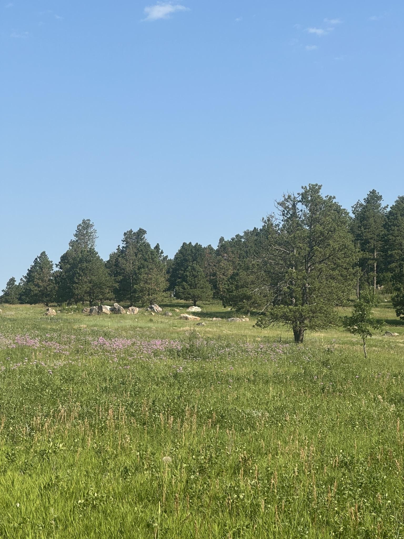 South Dakota - Image 52